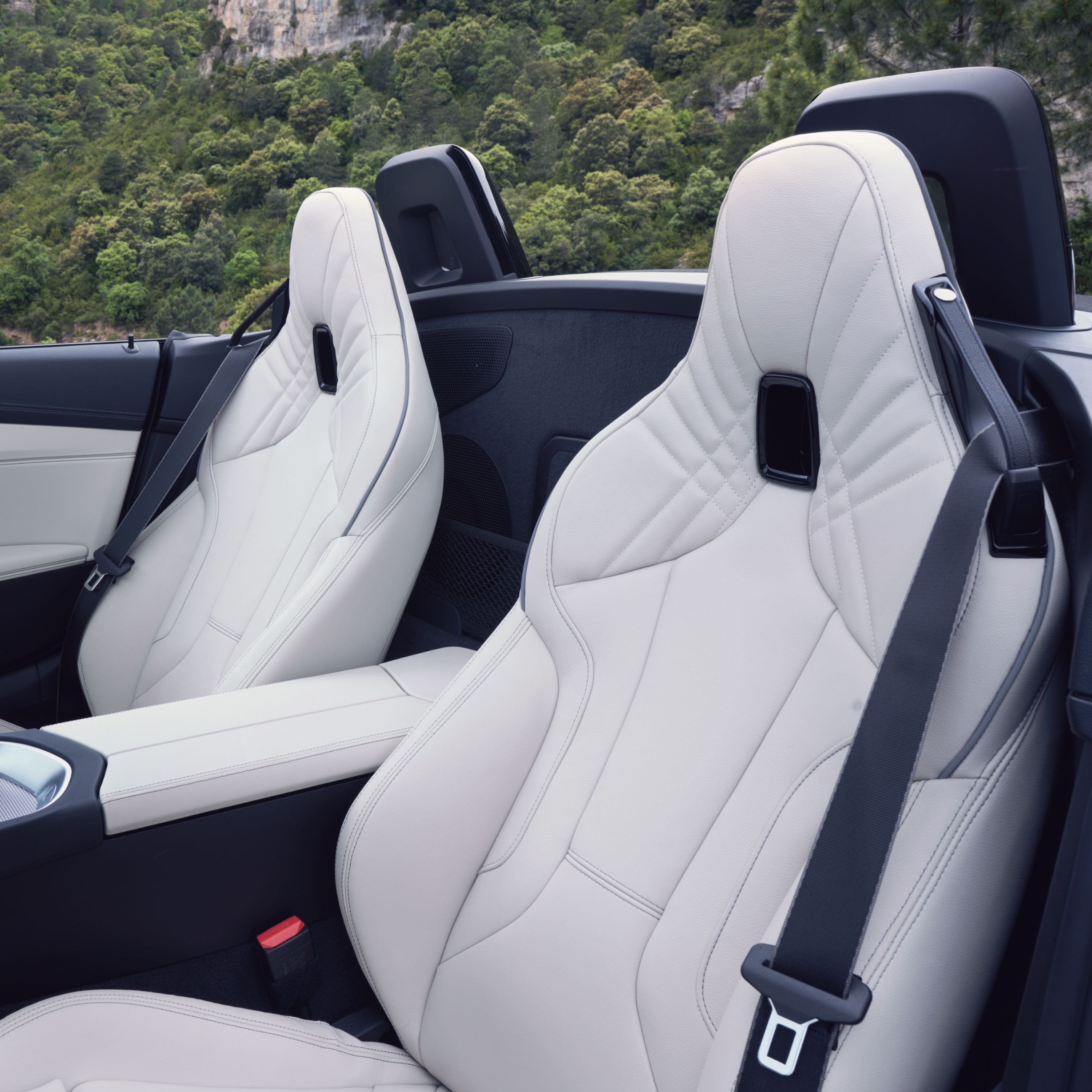 BMW Z4 Roadster sedili sportivi M