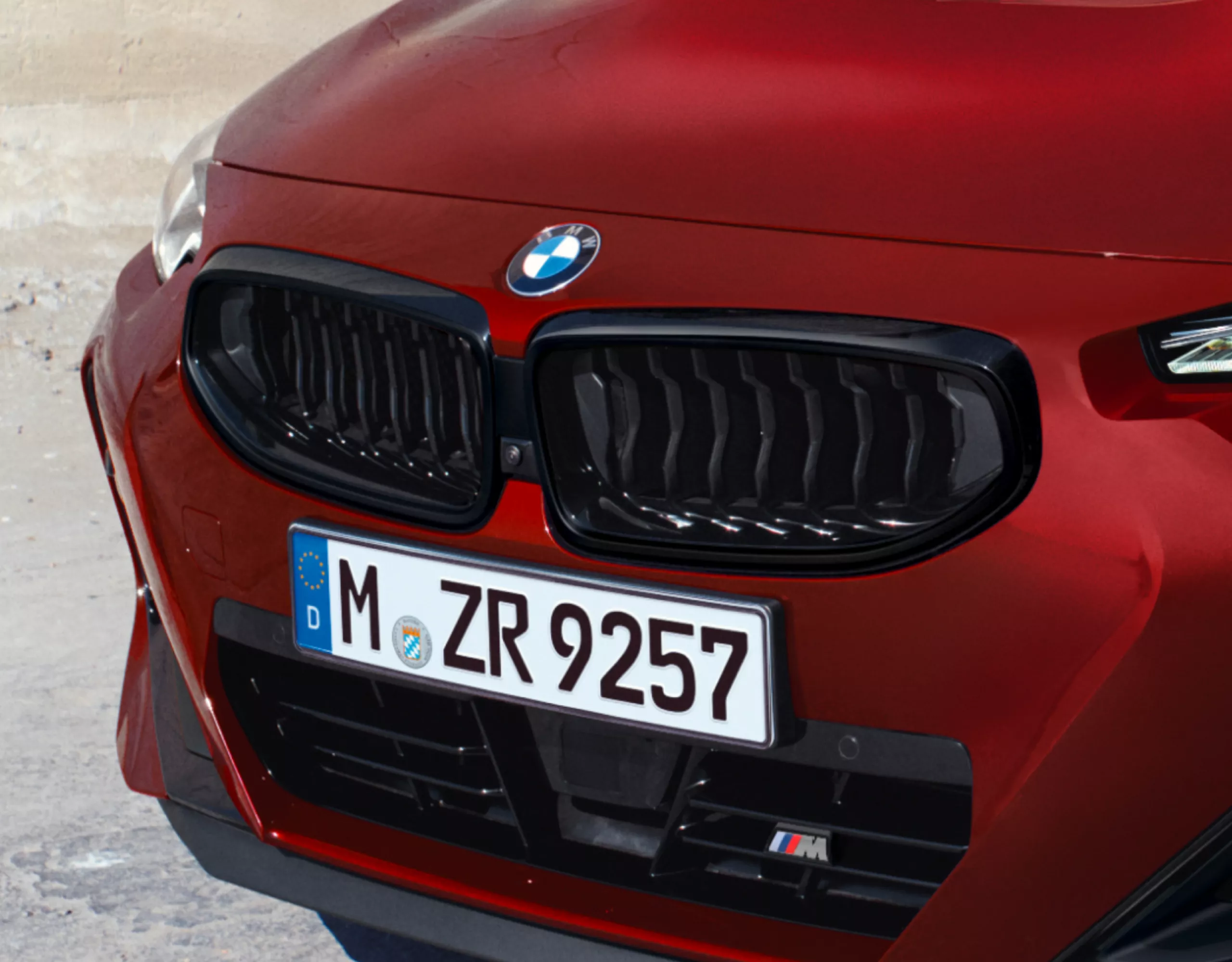 The Single-frame double kidney of a BMW 2 Series Coupé in close-up