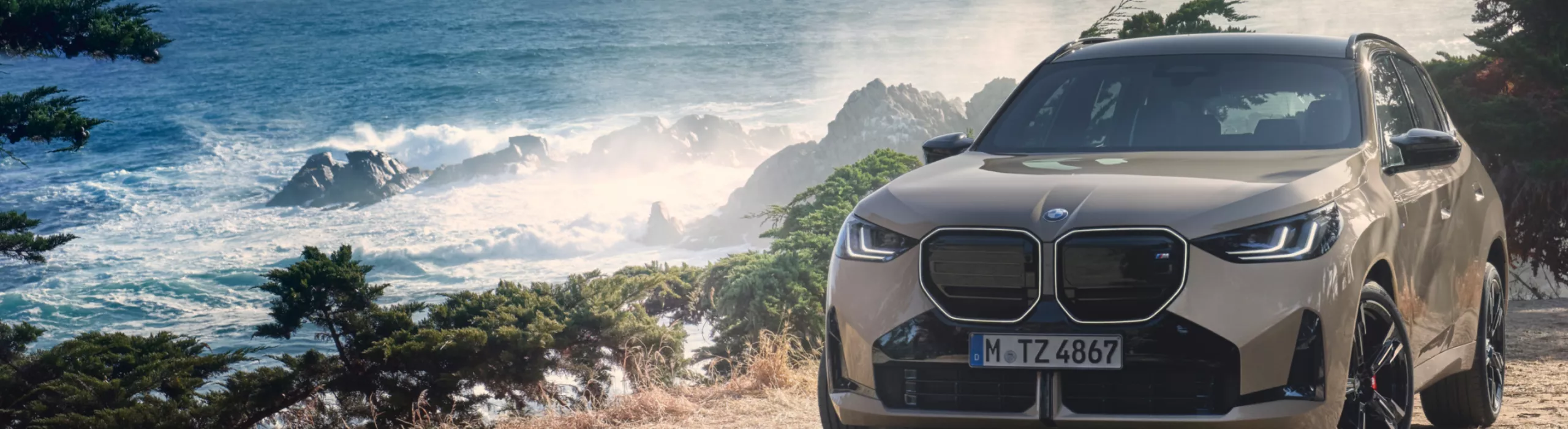 BMW X3 M50 SUV Positionierung