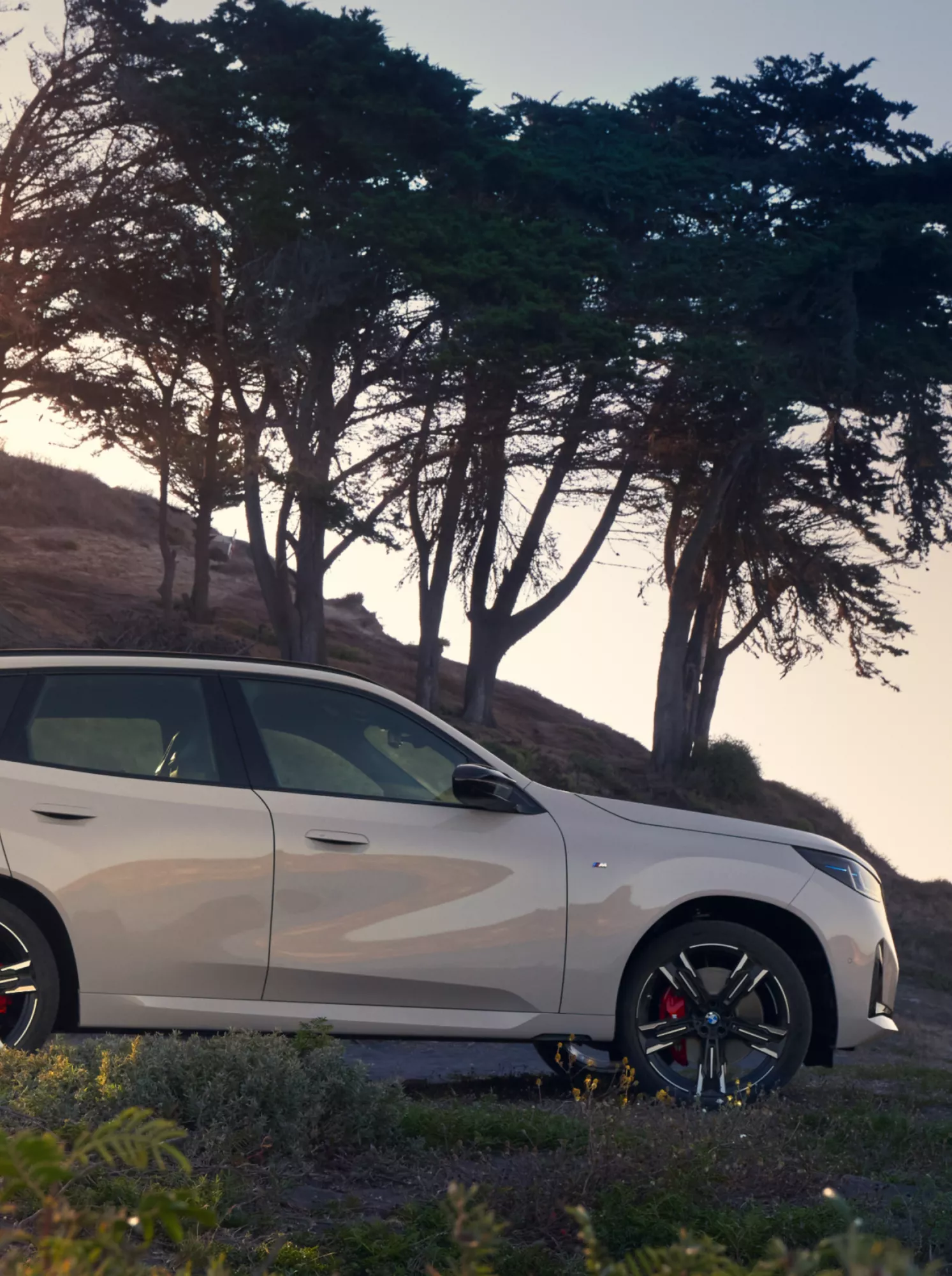 BMW X3 M50 SUV Finanzierung und Leasing