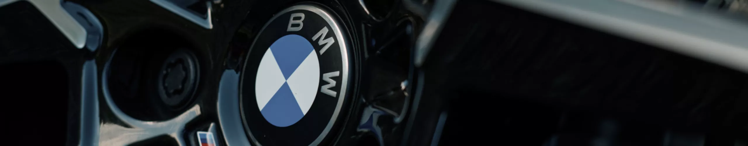 Forhjul med fælg på BMW iX5