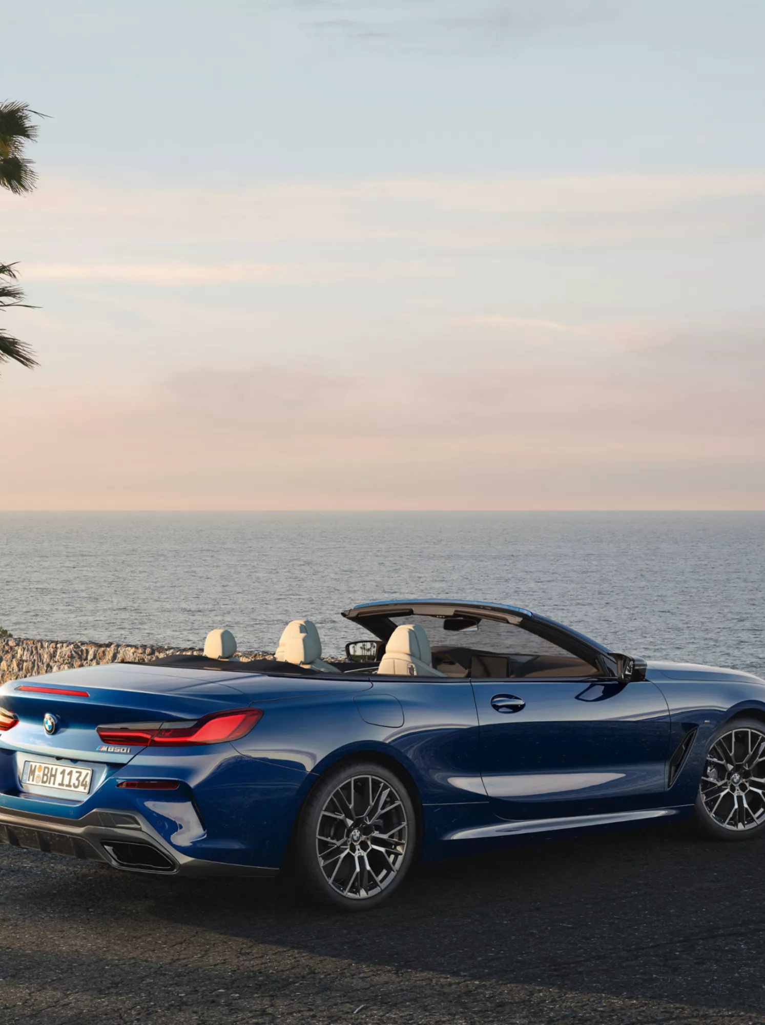 BMW M850i xDrive Convertible with open roof in front of palm trees overlooking the sea
