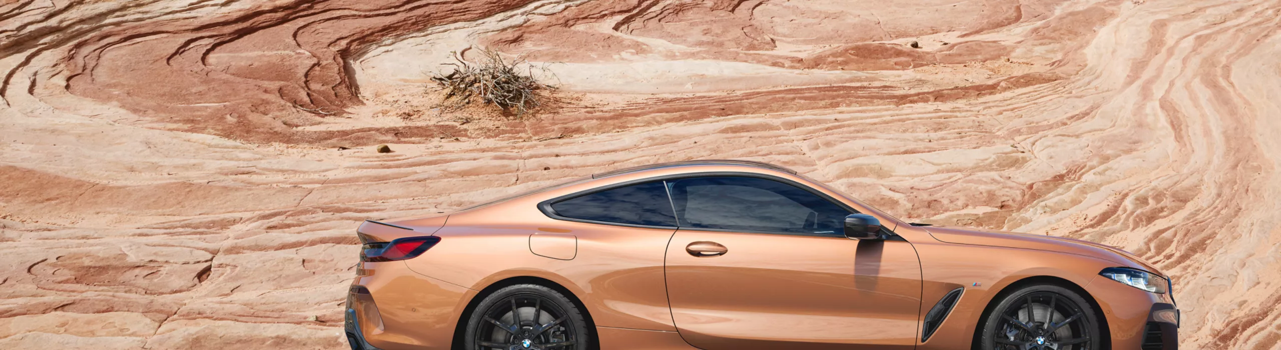 BMW M850i xDrive Coupé side view in a desert landscape