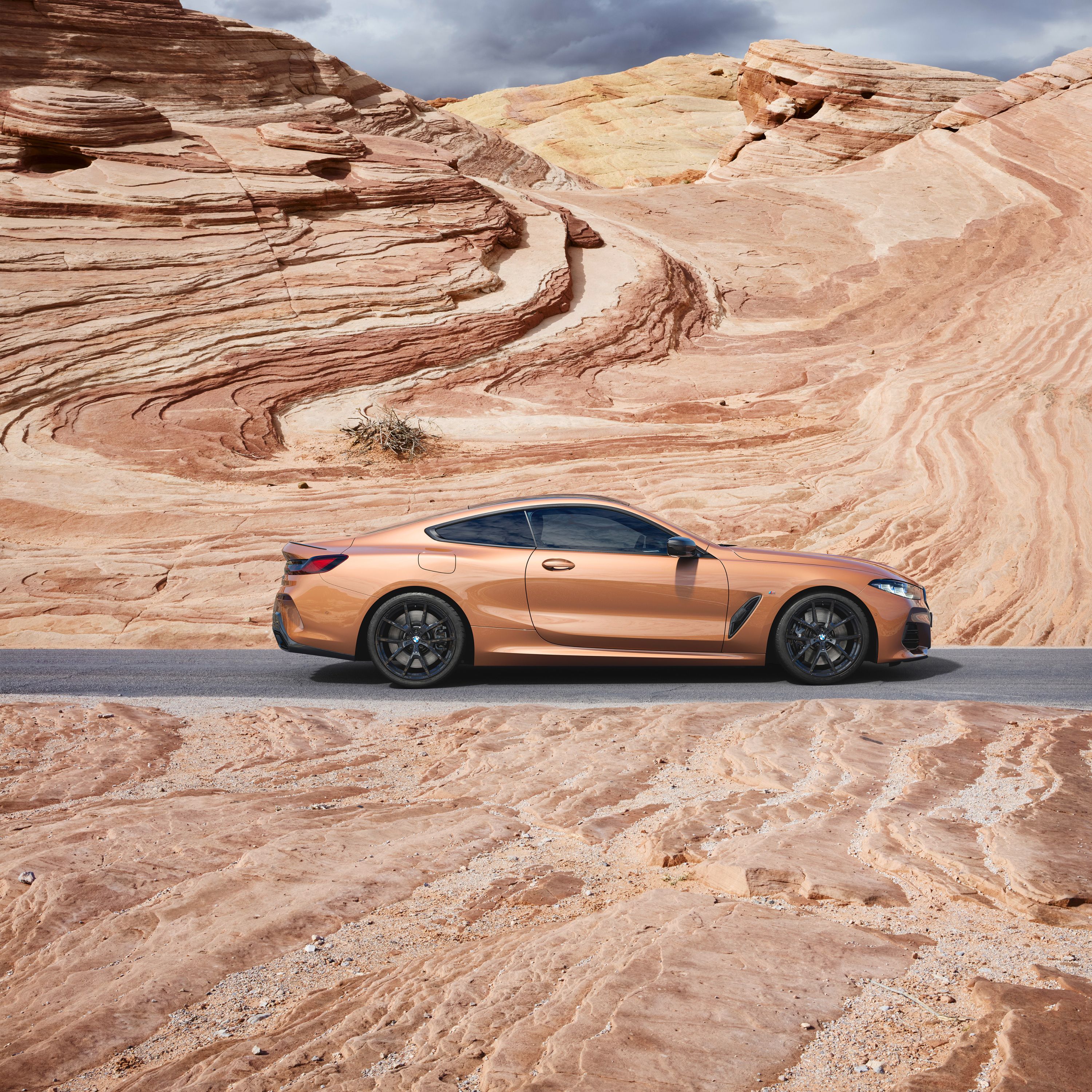 BMW 8 Series Coupé G15 side view