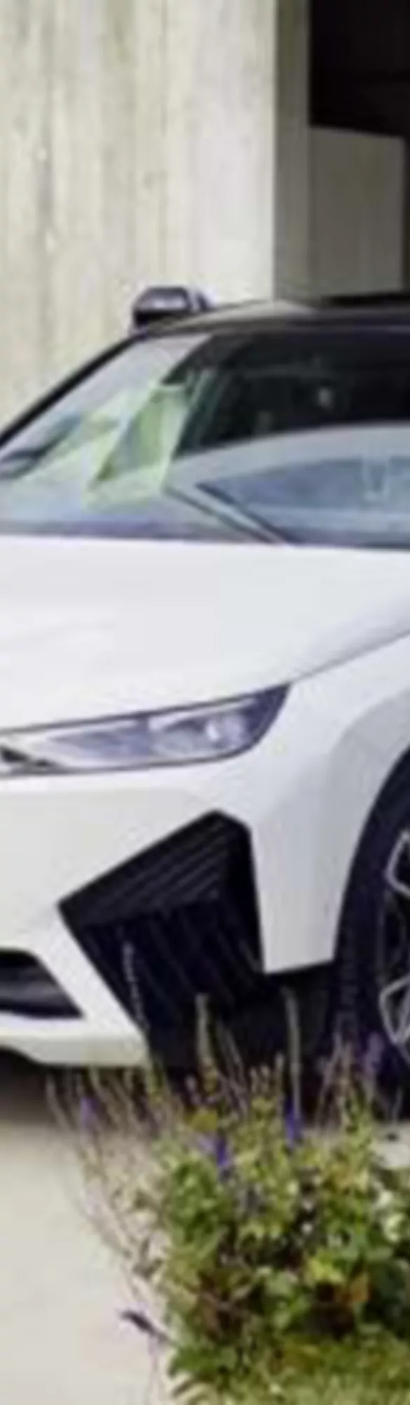 Holistic Sustainability 