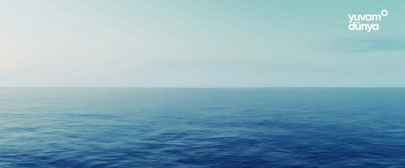 I Sea Climate Change Projesi | BMW Joy Blog