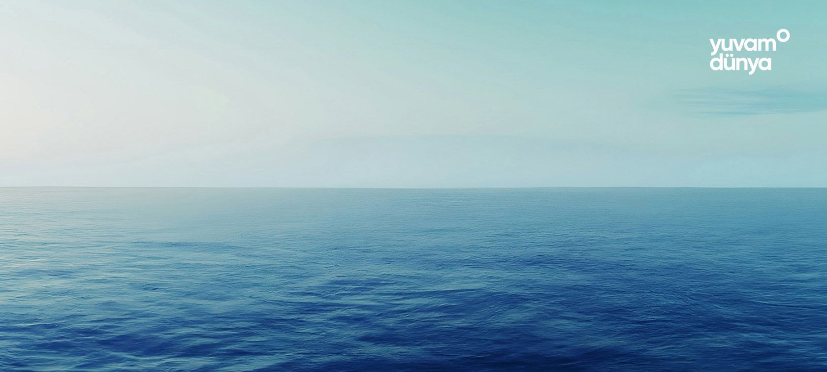 I Sea Climate Change Projesi | BMW Joy Blog