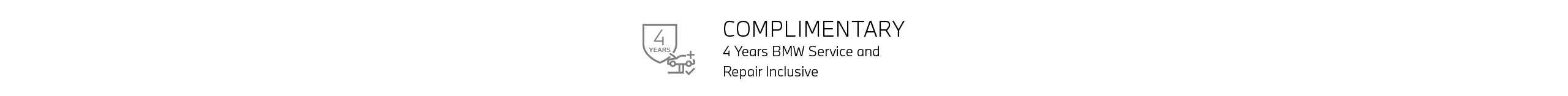 icon_4Y_Service.png
