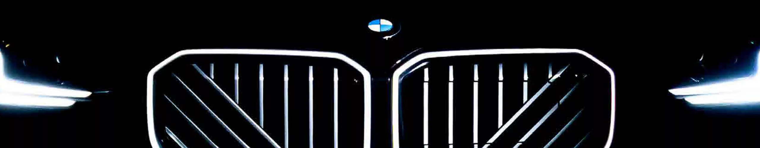 Iconic Kidney grille