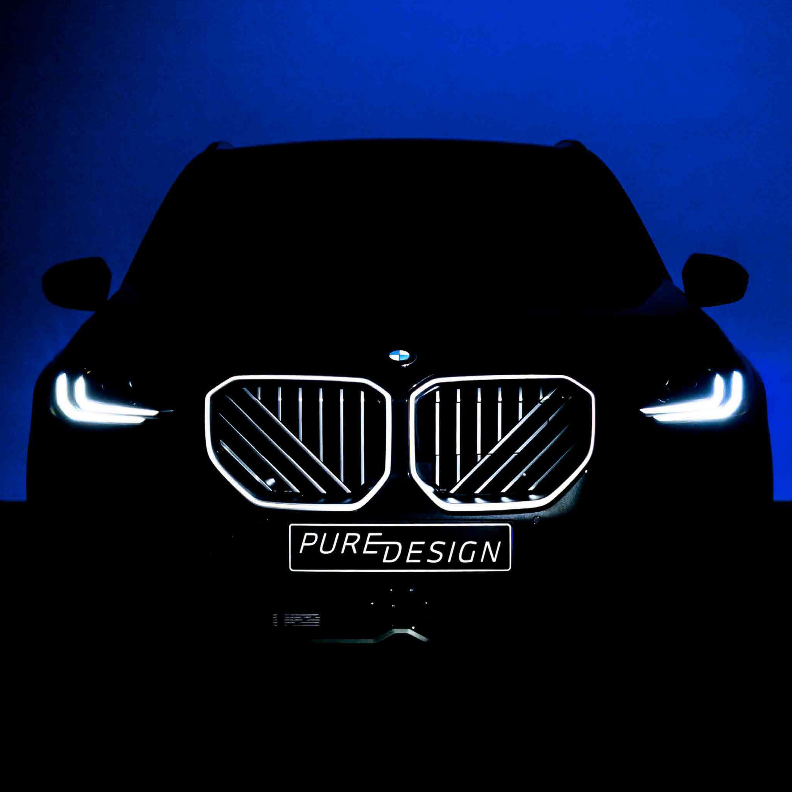 Iconic Kidney grille