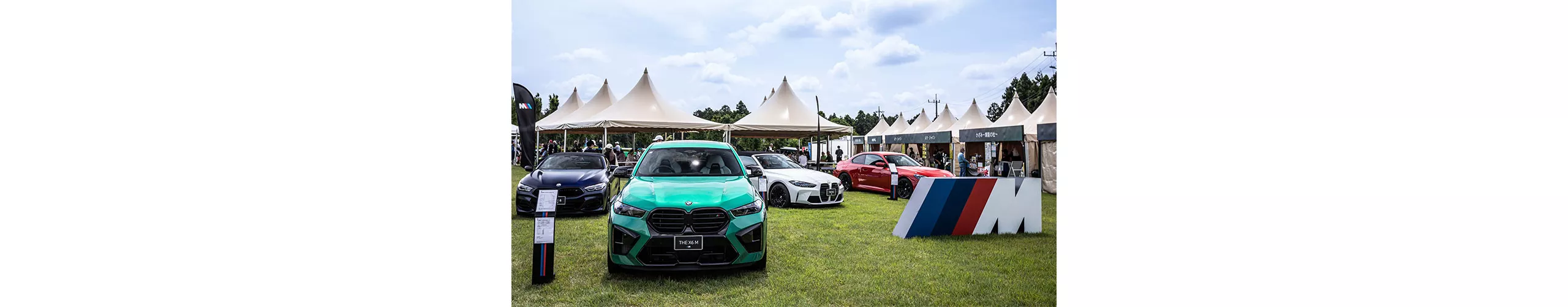 THE X6 M
