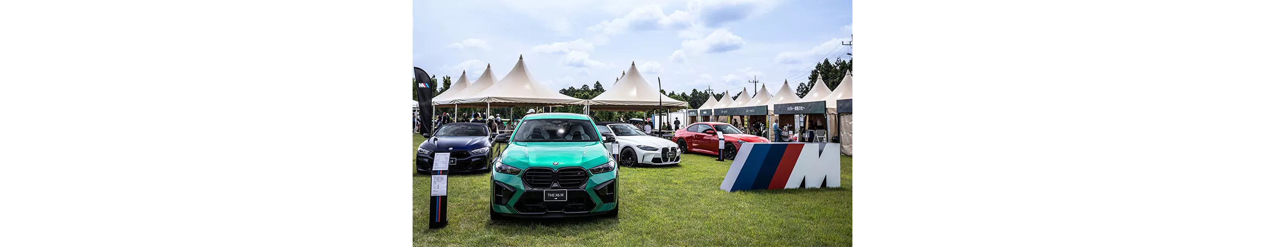 THE X6 M