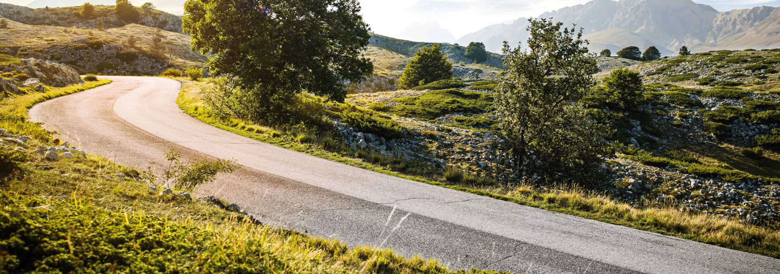 走りも環境性能も、新しい時代へ。