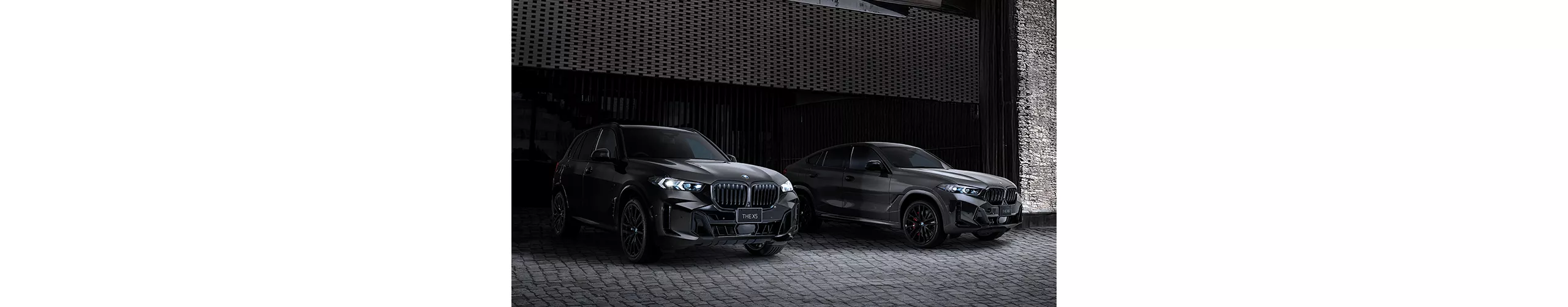 BMW X5 / X6 Edition Shadow