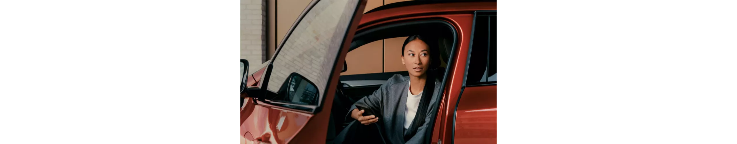 BMW Connected Drive