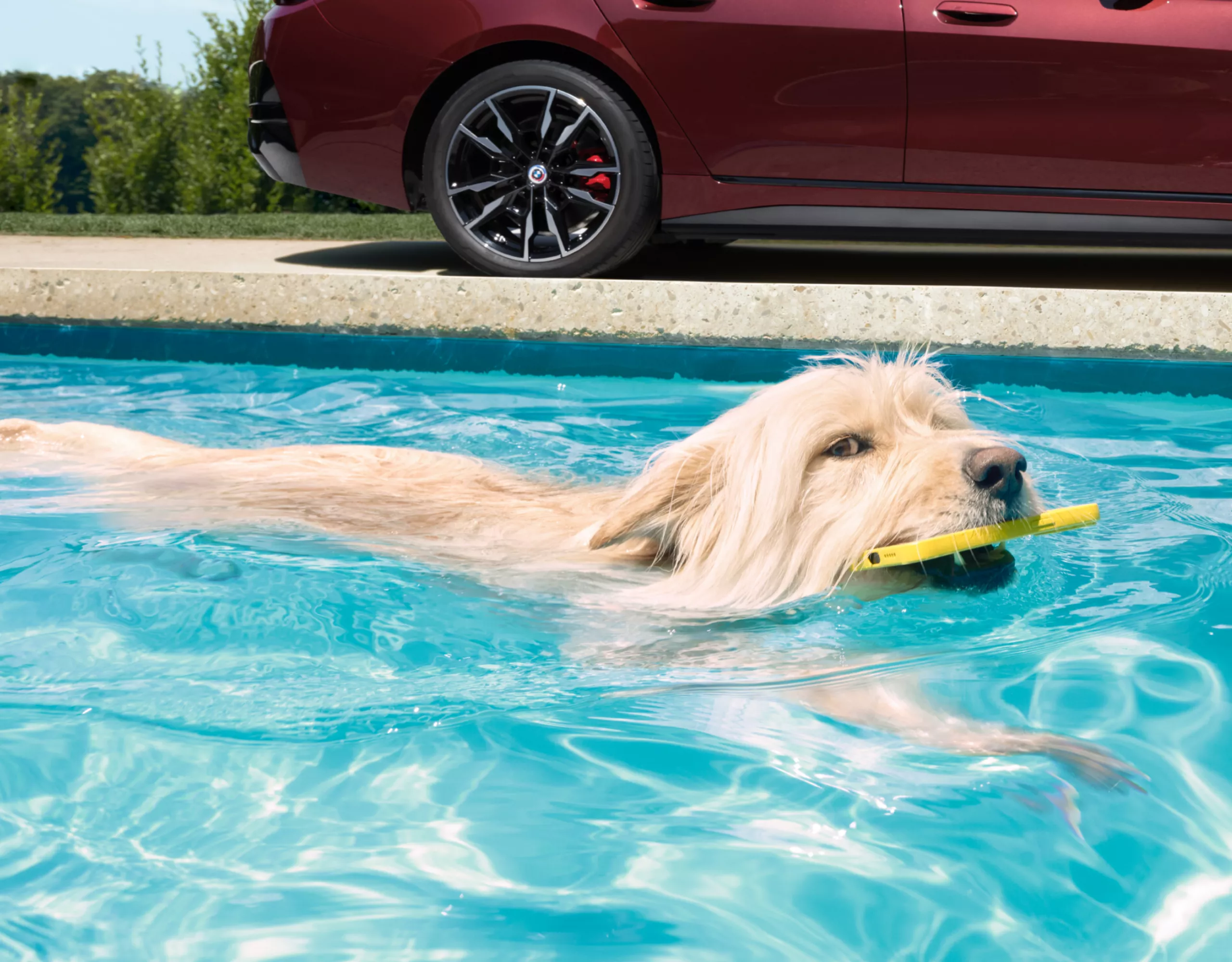 BMW Proactive Care 2024 Getting in touch