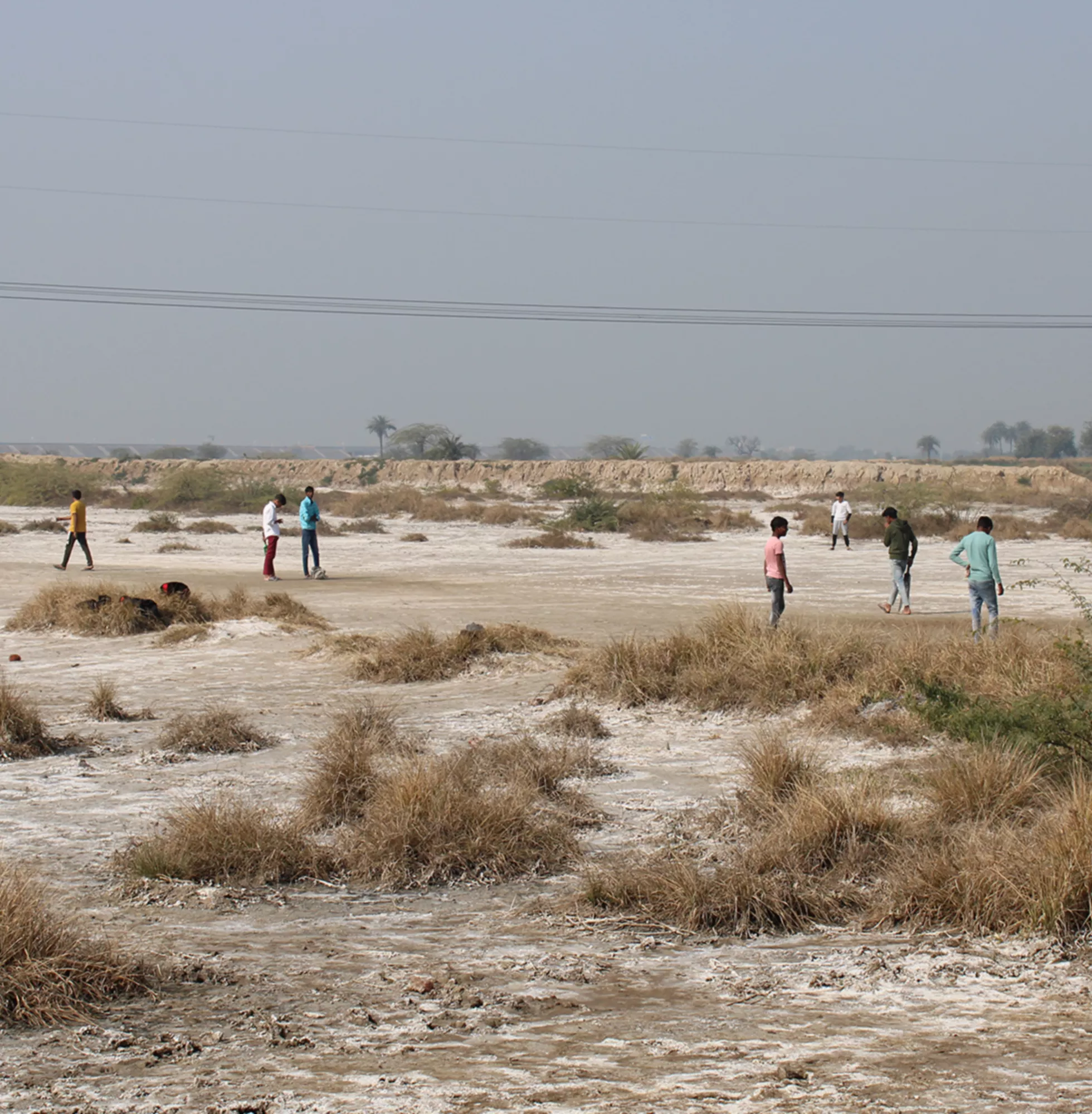 salinity