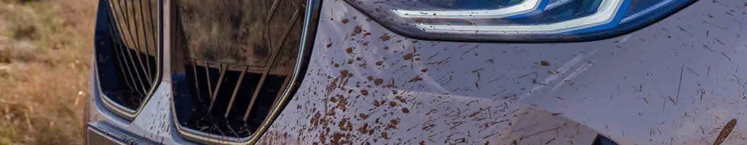 Shield every adventure.