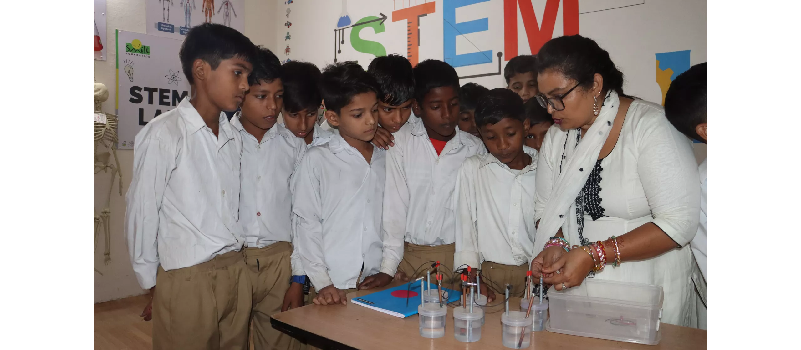 Stem-for-all