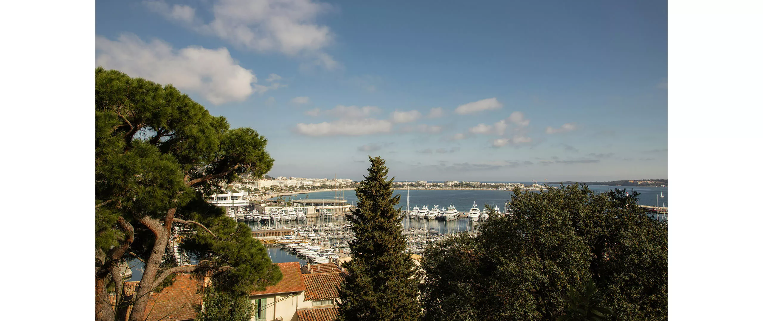 79. Cannes Film Festivali (2026) | BMW Joy Blog
