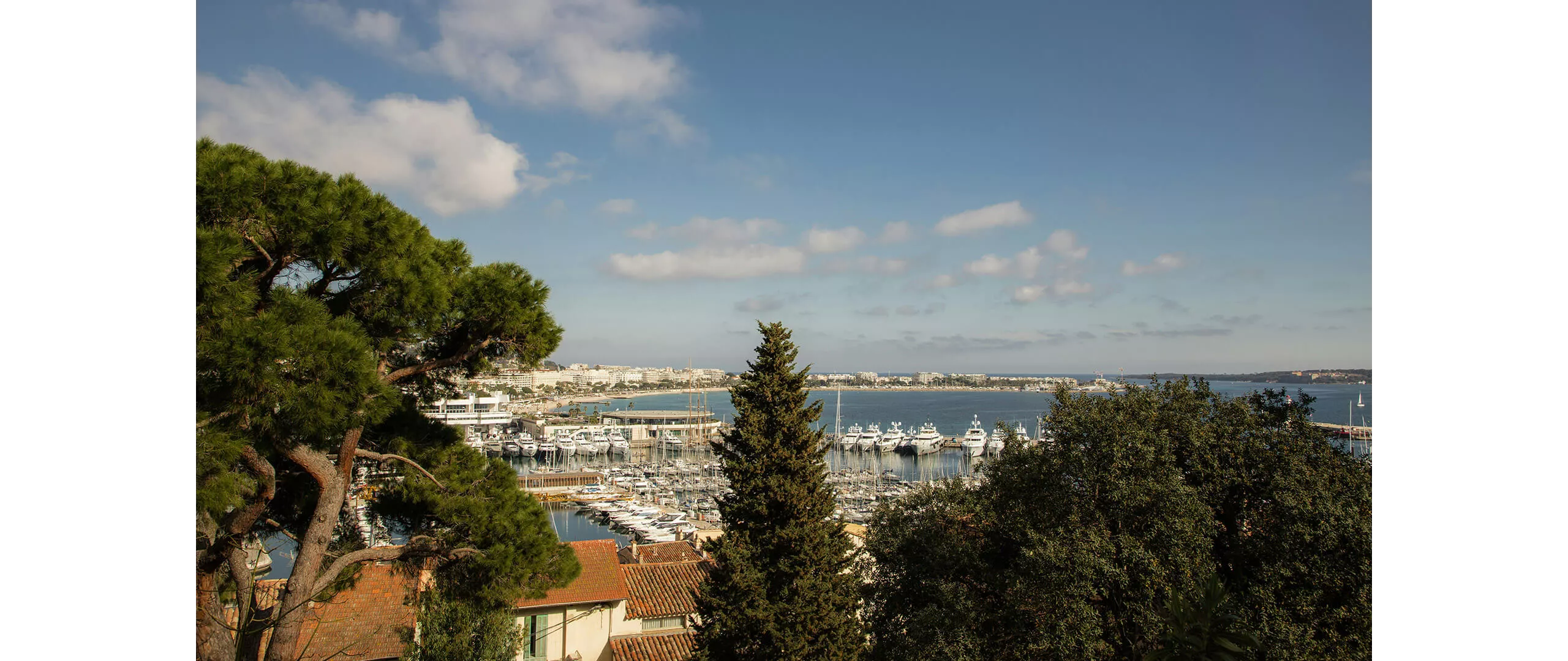 79. Cannes Film Festivali (2026) | BMW Joy Blog