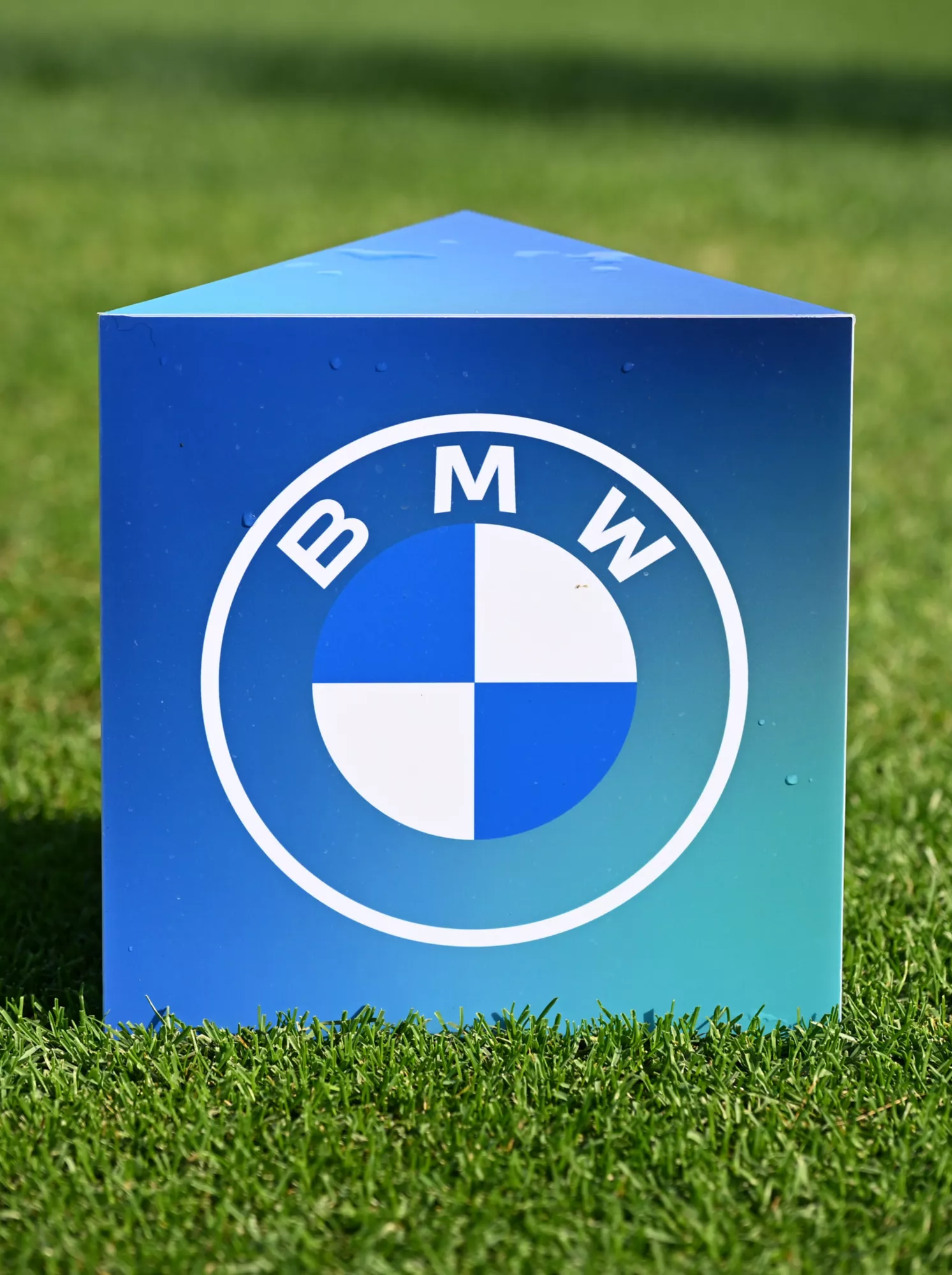BMW 레이디스 챔피언십 공식 대회 브랜드 로고