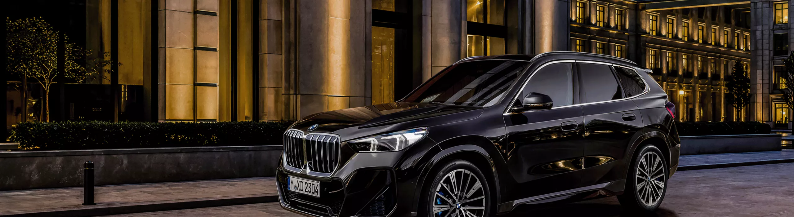 BMW X1 Luxury Edition