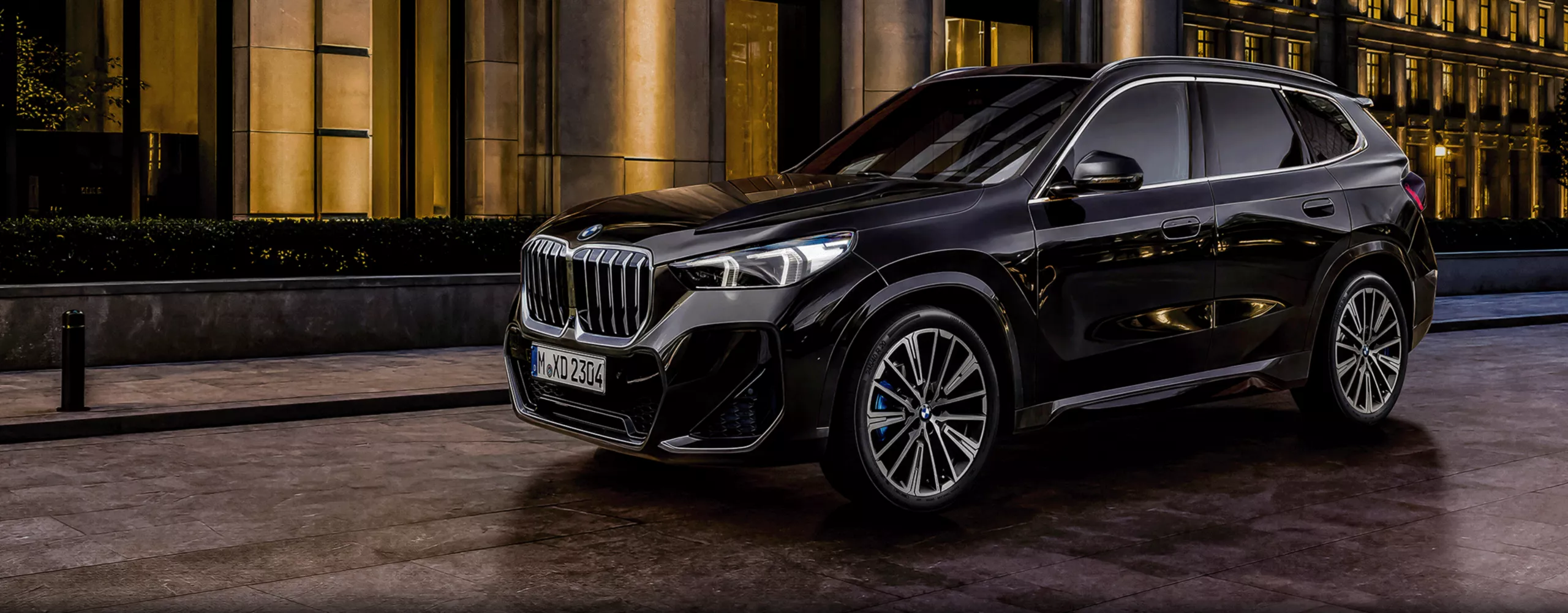 BMW X1 Luxury Edition