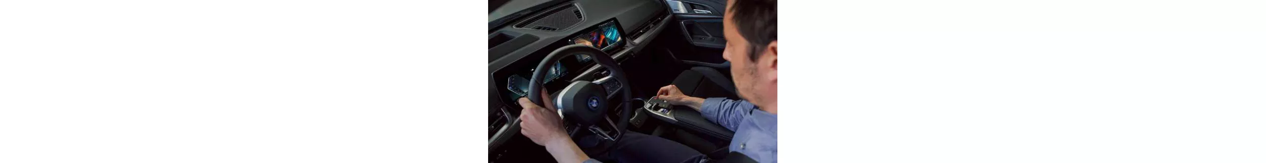 Reversing Assistant.