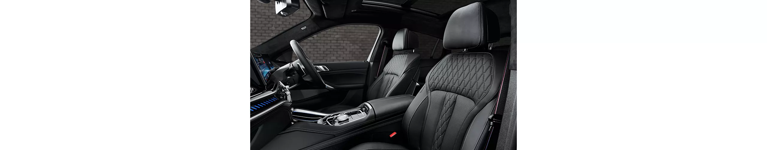 BMW X5：BMW Individual エクステンド・レザー・メリノ