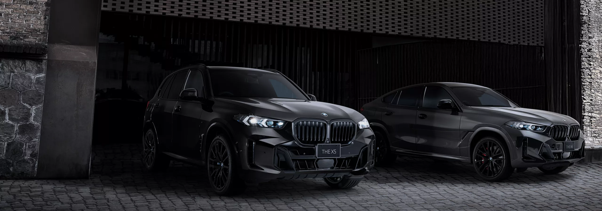 BMW X5 / X6 Edition Shadow​ | BMW.co.jp