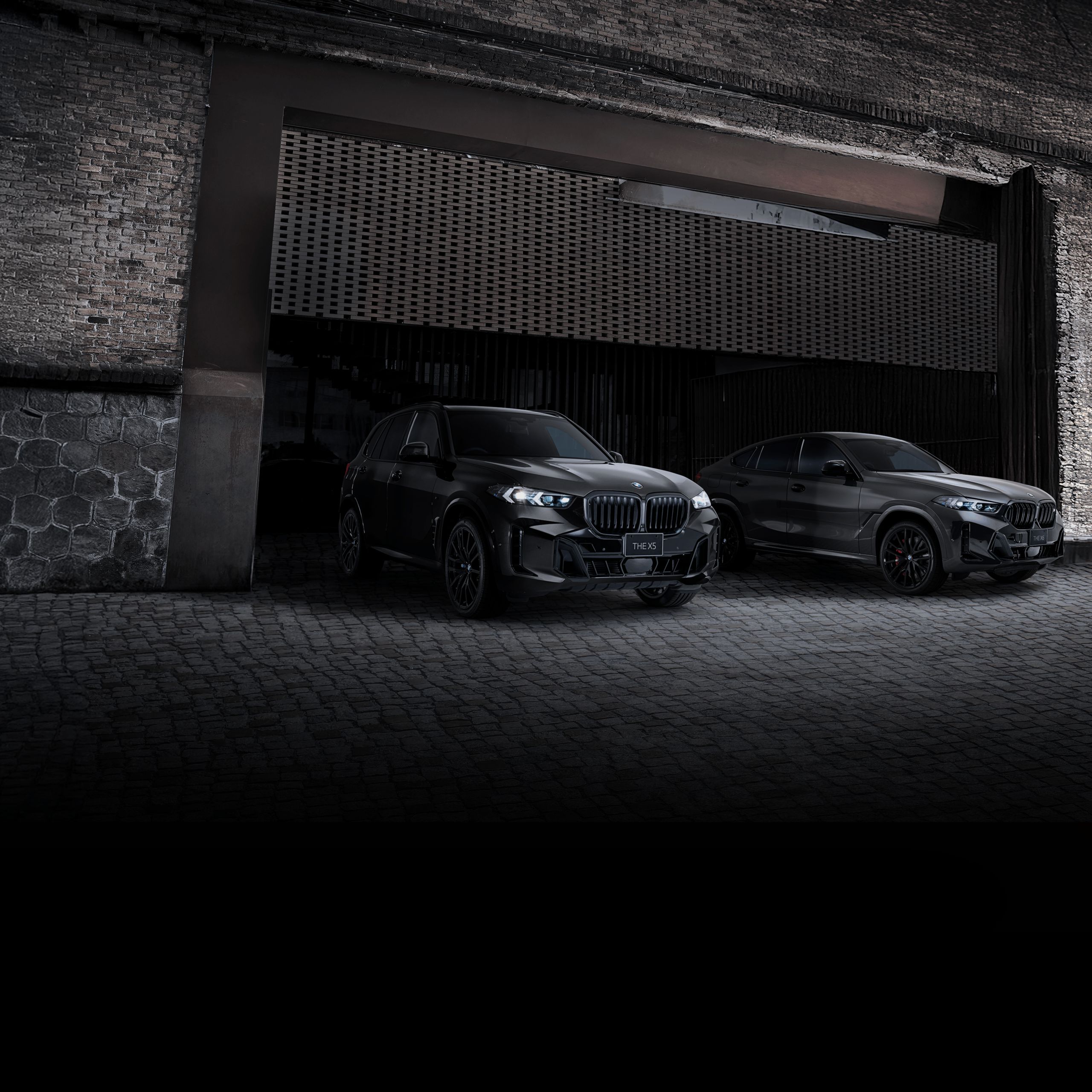 BMW X5 / X6 Edition Shadow
